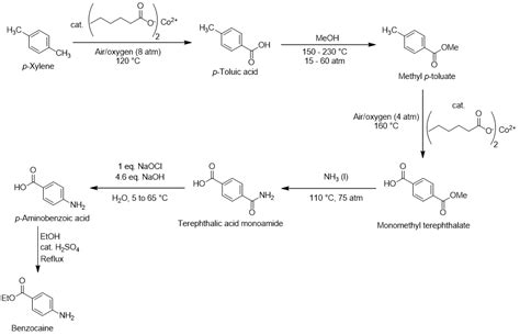 Benzocaine synthesis from toluene and p-xylene - The Science Snail