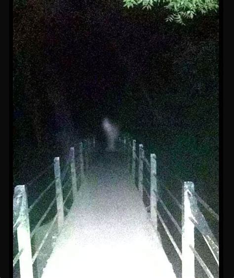 Real ghost sightings in pictures | Pictures | Pics | Express.co.uk | Ghost photos, Real ghosts ...