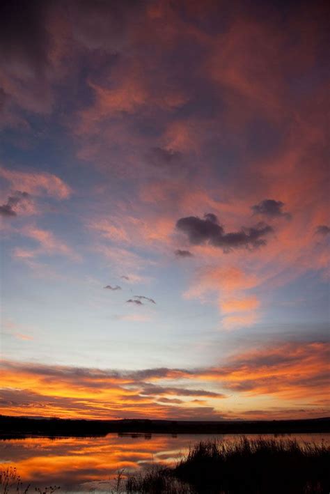 Sunrise at Bosque Del Apache | Smithsonian Photo Contest | Smithsonian Magazine