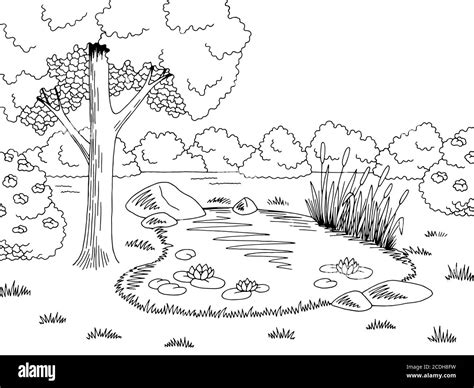 Pond graphic black white lake landscape sketch illustration vector ...