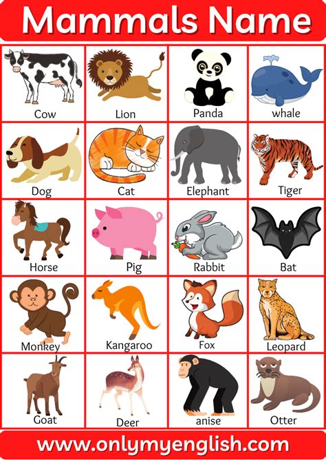 Mammals Animals Chart