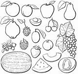 Obst Colorir Ausmalbilder Coloriage Fruta Cool2bkids Imprimir Sketch  sketch template