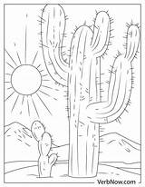 Free Printable Desert Coloring Pages Sketch Page sketch template