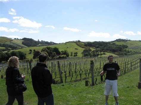 Your Guide to New Zealand's Waiheke Island Wineries | Waiheke island, New zealand wine, Island