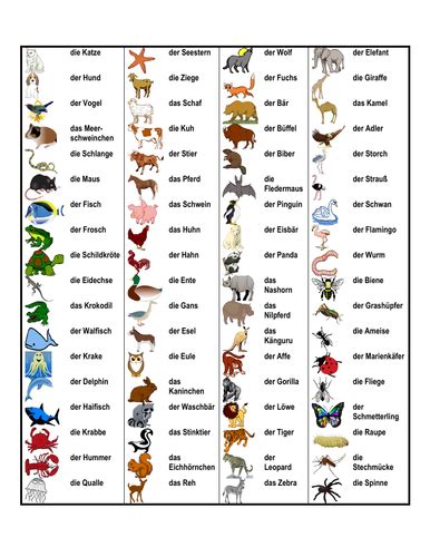 Tiere (Animals in German) Desk Mat | Teaching Resources