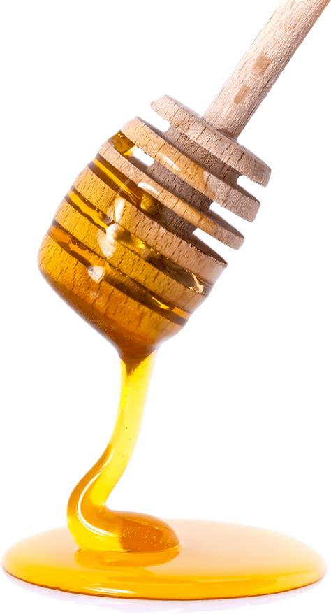 Honey Spoon transparent PNG - StickPNG