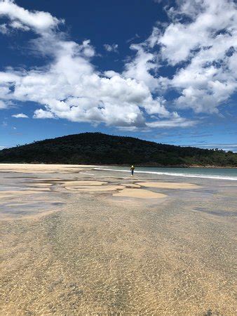 Fingal Bay Beach: UPDATED 2020 All You Need to Know Before You Go (with PHOTOS)