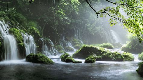 2560x1440 Spring Waterfall Stone Fog Mist Green Forest 8k 1440P ...