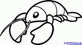Lobster Cartoon Clipart Lobsters Pages Drawing Coloring Clip Printable  sketch template
