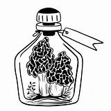 Premium Vector  Morel Mushrooms With Leaves In Bottle Cork And sketch template