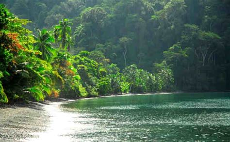 Best Things To Do on the Osa Peninsula | Costa Rica Experts