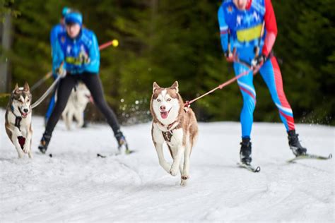 10 Unique Winter Sports You Can Find In Canada