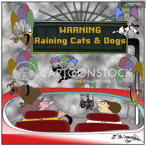 Raining Cats And Dogs Cartoons and Comics - funny pictures from ...