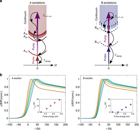 Simulation of the exciton formation process a Schematic illustration of... | Download Scientific ...