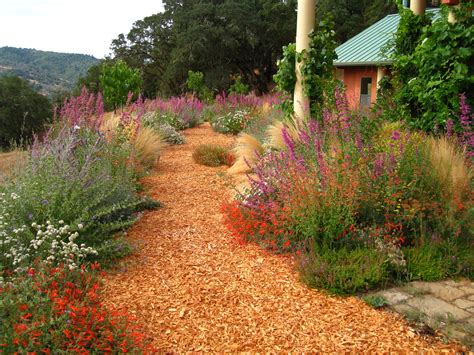 A Hopland, CA Garden filled with color and life. | Kate Frey Sustainable Gardens | California ...