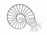 Printable Millipede Coloring Page  sketch template