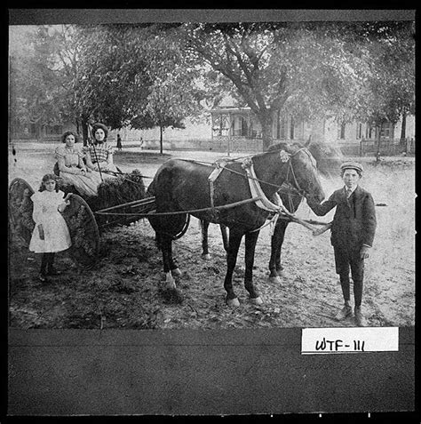 Photograph of youth with a horse and buggy before a parade, Dalton ...