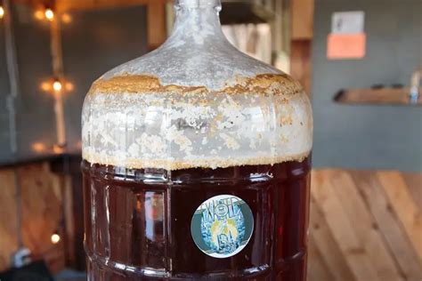 How to Ferment Beer: A Step-by-Step Guide - Brew Fuse