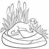 Otter Coloring Pages  ColoringBay sketch template