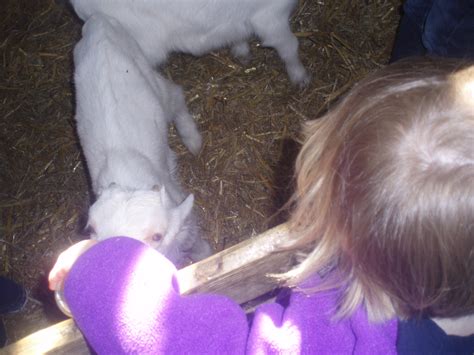 Feeding Baby Goat | Greta