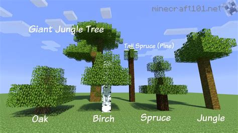 Minecraft Tree Farm Schematics