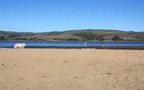 Best Marin County Beaches for Families | Marin Mommies