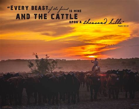 Pin by LeAnn Light on Cattle | Cattle, Cow quotes, Canvas prints