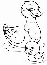 Printable Duck Coloring Pages  Calendars AT A GLANCE sketch template