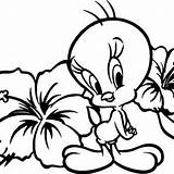 Printable Tweety Bird Coloring Pages sketch template