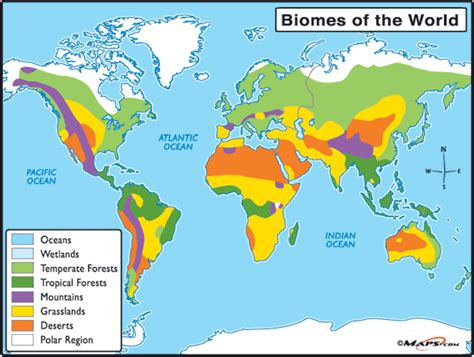 World Map Biome - Zip Code Map