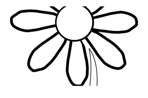 sunflower clipart outline 10 free Cliparts | Download images on Clipground 2024