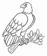 Printable Bird Coloring Pages sketch template