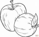 Printable Apple Coloring Page sketch template