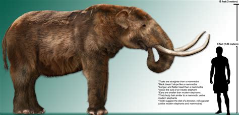 File:High res mastodon rendering.jpg - Wikipedia