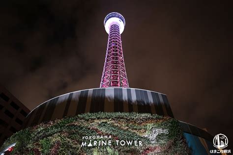 横浜マリンタワー展望フロアで夜景と映像の融合体験！横浜の新たな夜景スポット | はまこれ横浜