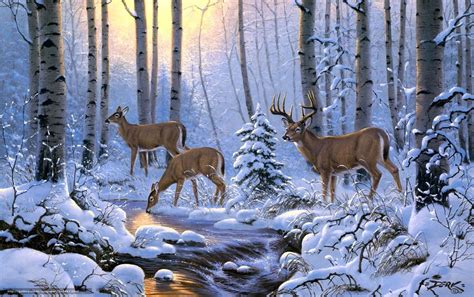 Image result for Whitetail Deer Scenes | Deer painting, Deer art print, Deer art