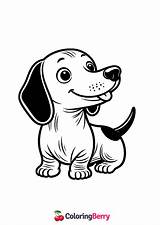 Dachshund Dog Coloring Page Free PDF Printable sketch template