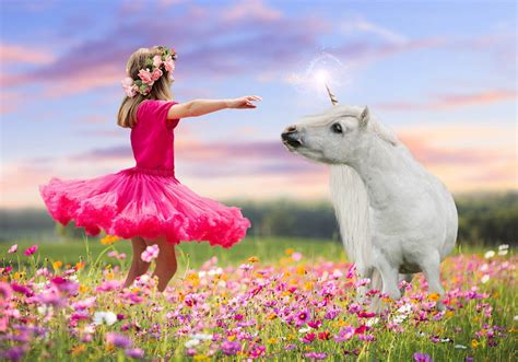 Unicorn in Flower Field Scene Realistic Unicorn Backdrop - Etsy