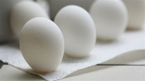 35 people sick from salmonella-contaminated eggs | FOX 11 Los Angeles