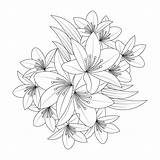 lily Flower coloring Page Book Illustration With Decorative Line Art  sketch template