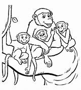 Monkey coloring pages For Kids  Monkeys Coloring Pages sketch template