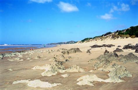 Tofo Beach, Mozambique stock image. Image of beach, quietness - 103865013