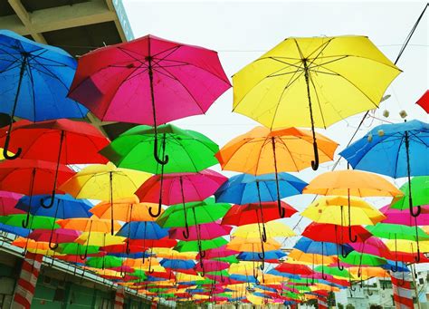 Free stock photo of color palette, colorful, umbrellas