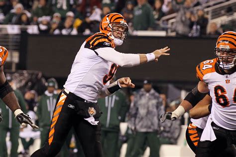 Carson Palmer concerned for Joe Burrow's Bengals future