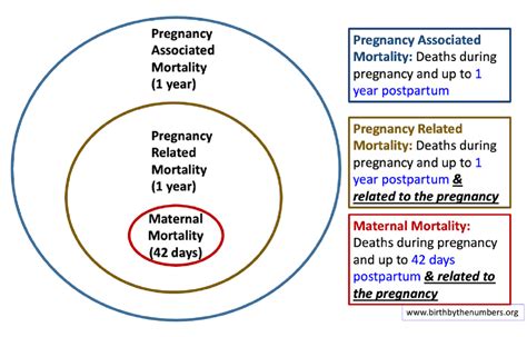 Maternal mortality data and maternity care are linked | Popular Science