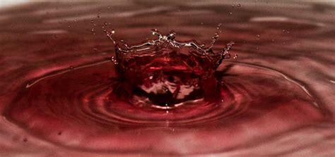 Blood In Water by Rwjensn on DeviantArt