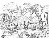 Aardvark Coloring Page Pages sketch template