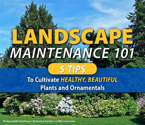 Landscape Maintenance 101