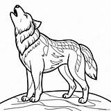Majestic Howling Wolf Coloring Page 6971 5558 sketch template
