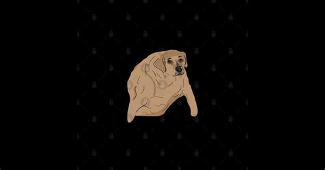 Wide Dog Meme - Wide Dog - Sticker | TeePublic